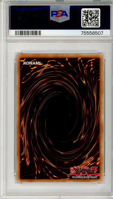 PSA 8 NM-MT Dark Magician Girl 2021 YUGIOH! #EN035 Lost Art Promotion